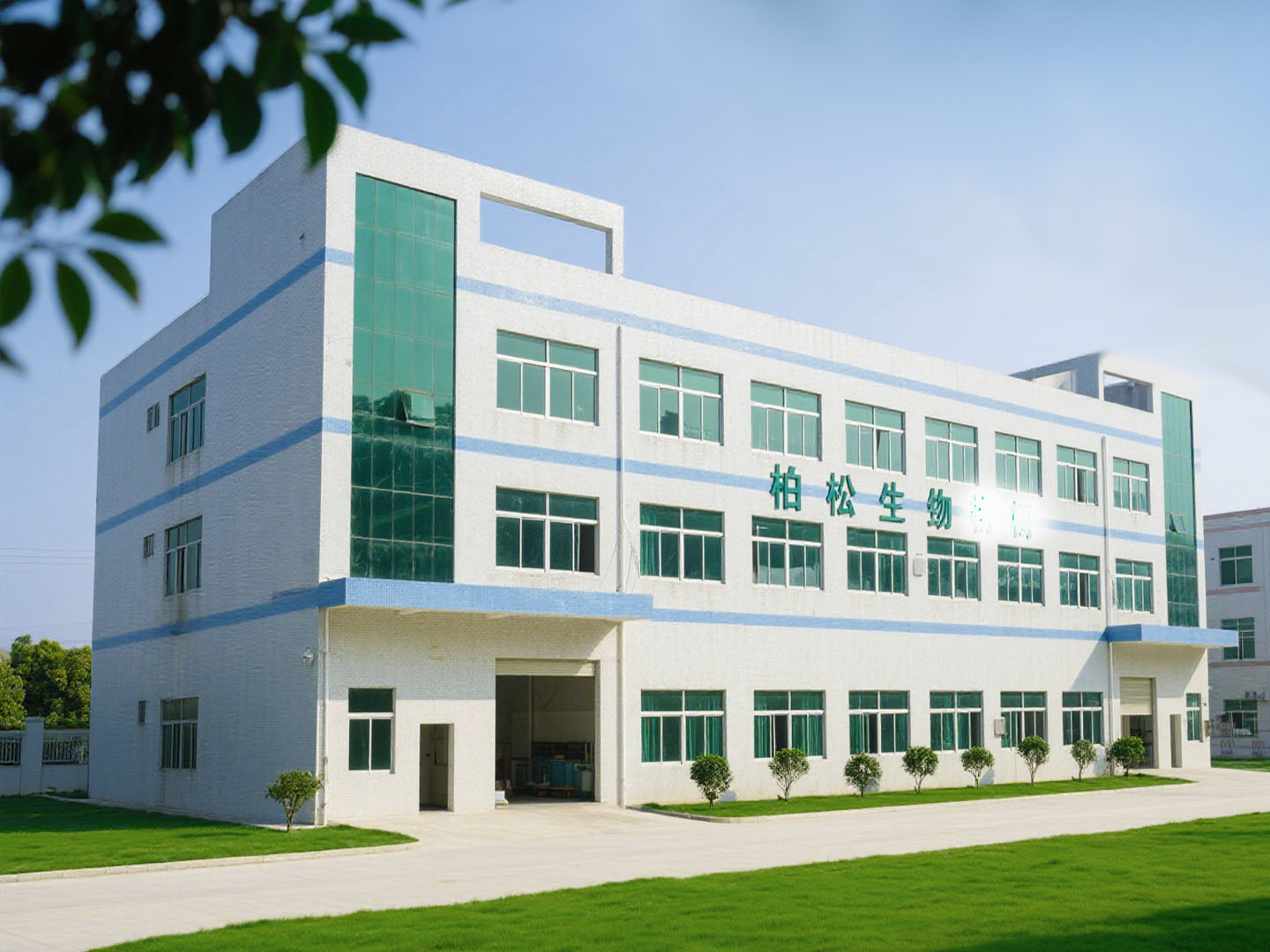 橋頭柏松無(wú)塵車(chē)間裝修工程